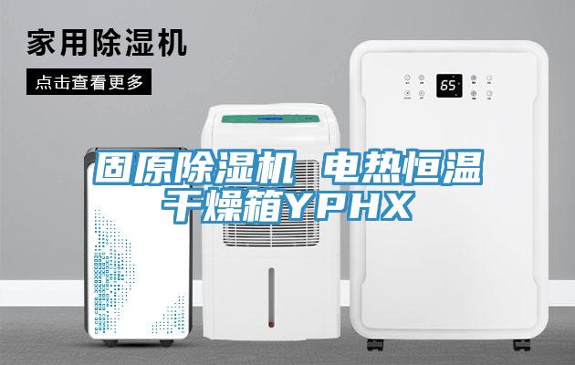 固原小黄片软件免费下载 電熱恒溫幹燥箱YPHX