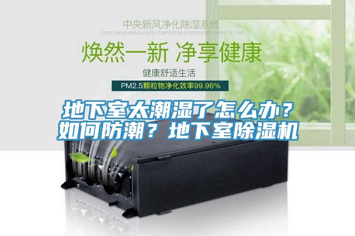 地下室太潮濕了怎麽辦？如何防潮？地下室小黄片软件免费下载