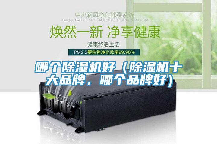 哪個小黄片软件免费下载好（小黄片软件免费下载十大品牌，哪個品牌好）