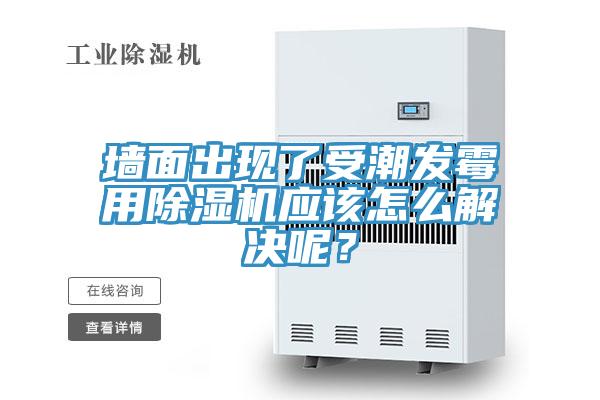 牆麵出現了受潮發黴用小黄片软件免费下载應該怎麽解決呢？
