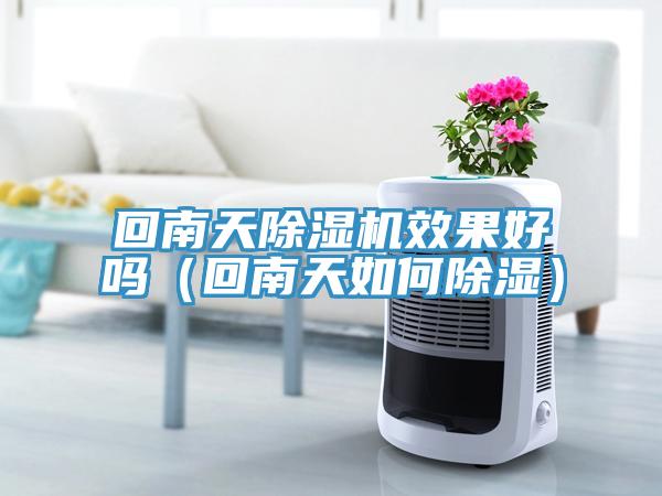回南天小黄片软件免费下载效果好嗎（回南天如何除濕）