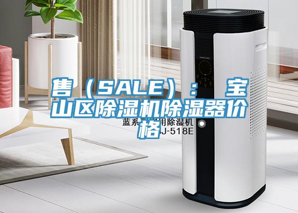 售（SALE）： 寶山區小黄片软件免费下载除濕器價格