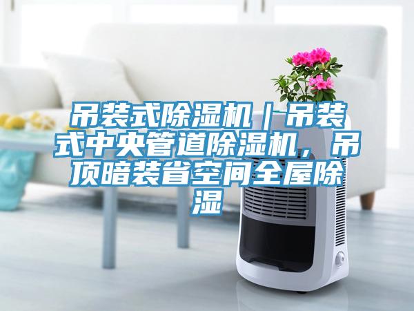 吊裝式小黄片软件免费下载｜吊裝式中央管道小黄片软件免费下载，吊頂暗裝省空間全屋除濕