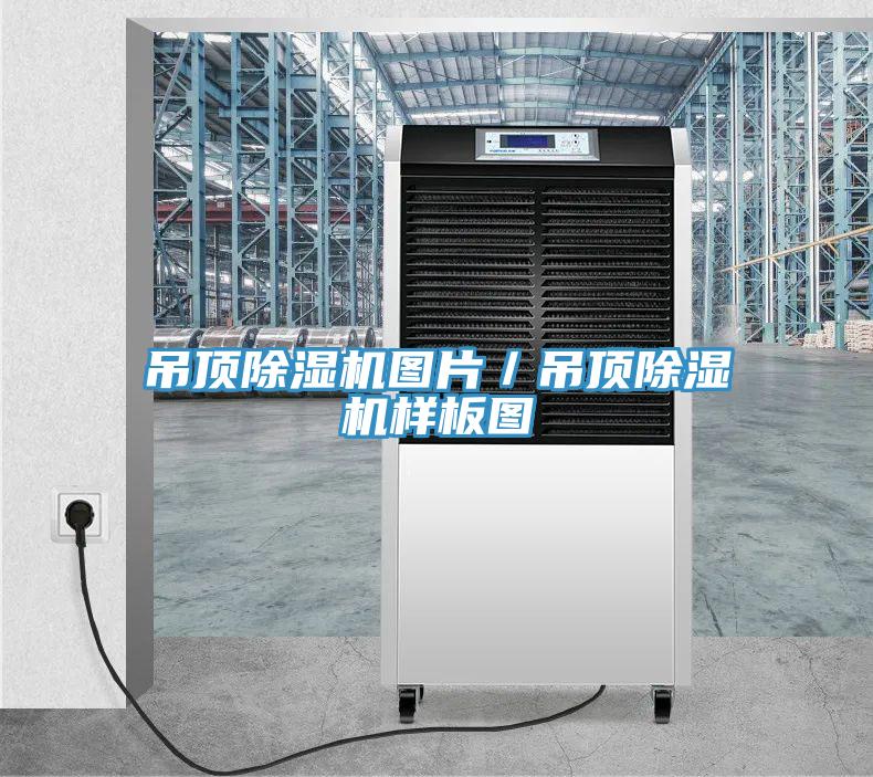 吊頂小黄片软件免费下载圖片／吊頂小黄片软件免费下载樣板圖