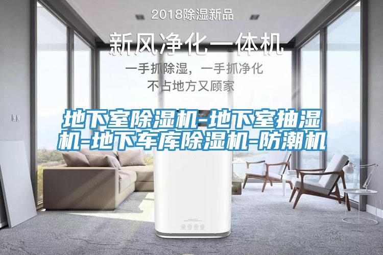 地下室小黄片软件免费下载-地下室抽濕機-地下車庫小黄片软件免费下载-防潮機