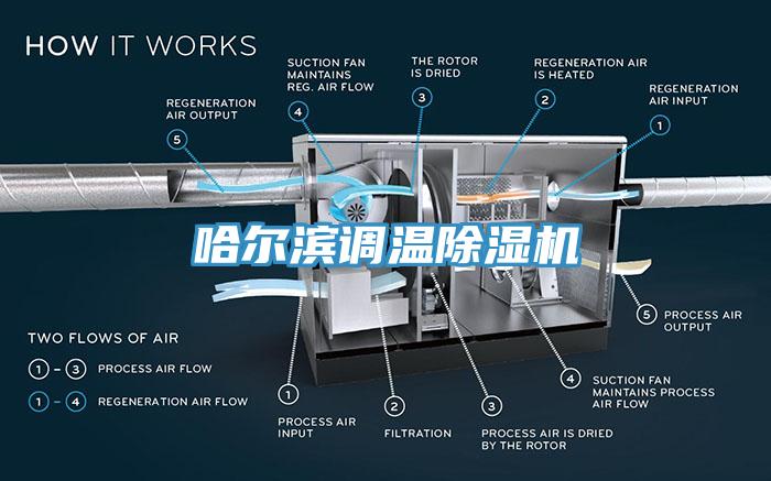 哈爾濱調溫小黄片软件免费下载