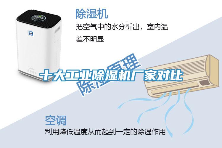 十大工業小黄片软件免费下载廠家對比