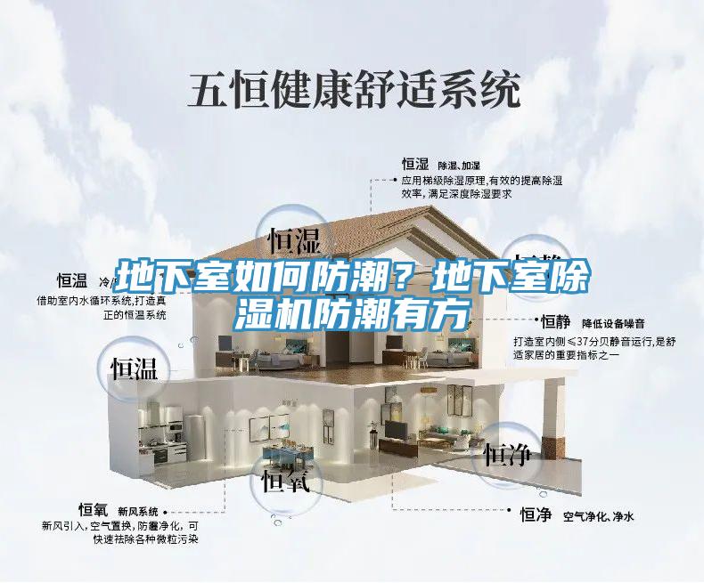 地下室如何防潮？地下室小黄片软件免费下载防潮有方