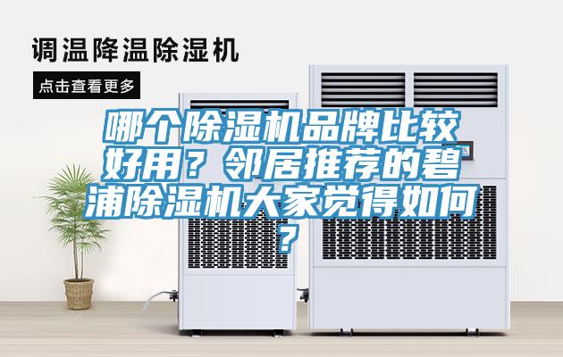 哪個小黄片软件免费下载品牌比較好用？鄰居推薦的碧浦小黄片软件免费下载大家覺得如何？