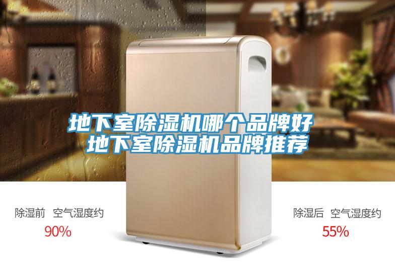 地下室小黄片软件免费下载哪個品牌好 地下室小黄片软件免费下载品牌推薦