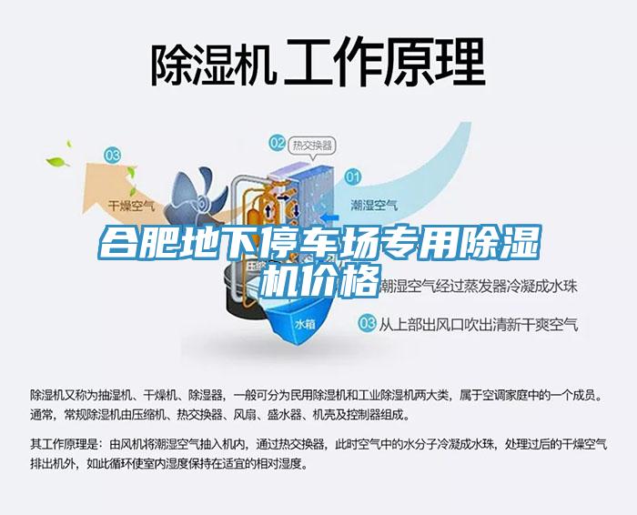 合肥地下停車場專用小黄片软件免费下载價格