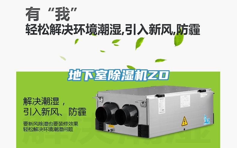 地下室小黄片软件免费下载ZD