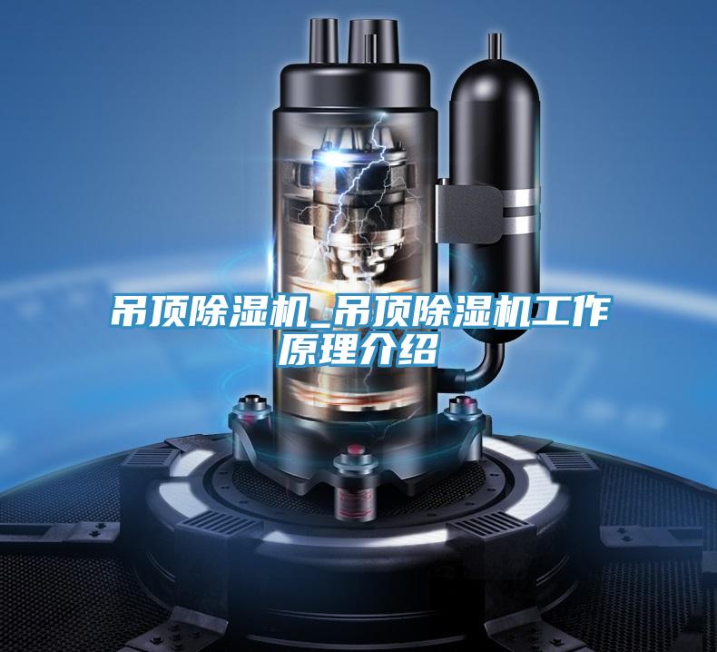 吊頂小黄片软件免费下载_吊頂小黄片软件免费下载工作原理介紹