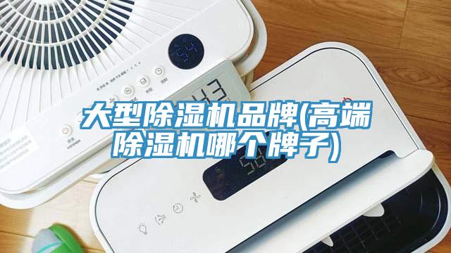 大型小黄片软件免费下载品牌(高端小黄片软件免费下载哪個牌子)