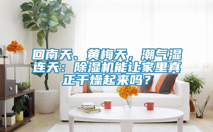 回南天、黃梅天，潮氣濕連天：小黄片软件免费下载能讓家裏真正幹燥起來嗎？