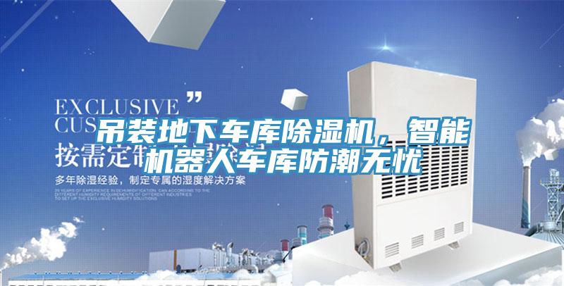 吊裝地下車庫小黄片软件免费下载，智能機器人車庫防潮無憂