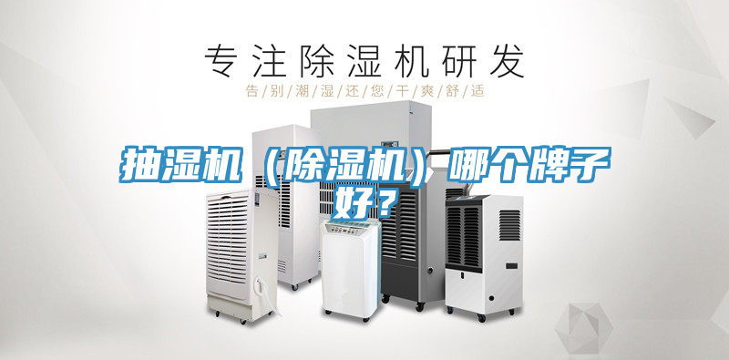 抽濕機（小黄片软件免费下载）哪個牌子好？