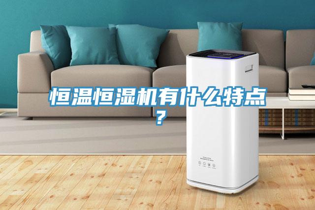 恒溫恒濕機有什麽特點？