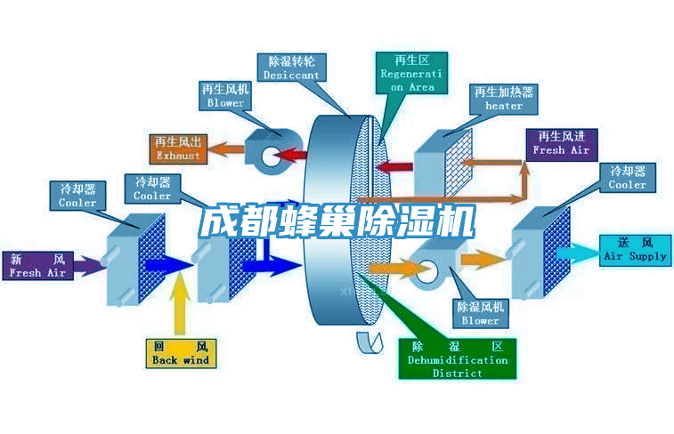 成都蜂巢小黄片软件免费下载