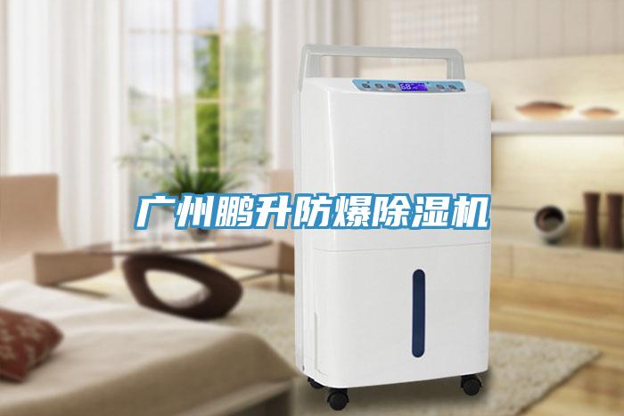 廣州鵬升防爆小黄片软件免费下载