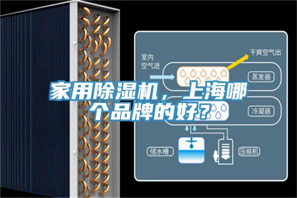 家用小黄片软件免费下载，上海哪個品牌的好？