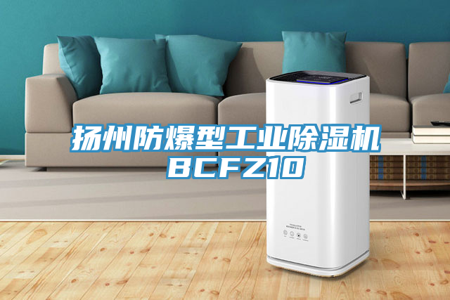 揚州防爆型工業小黄片软件免费下载 BCFZ10