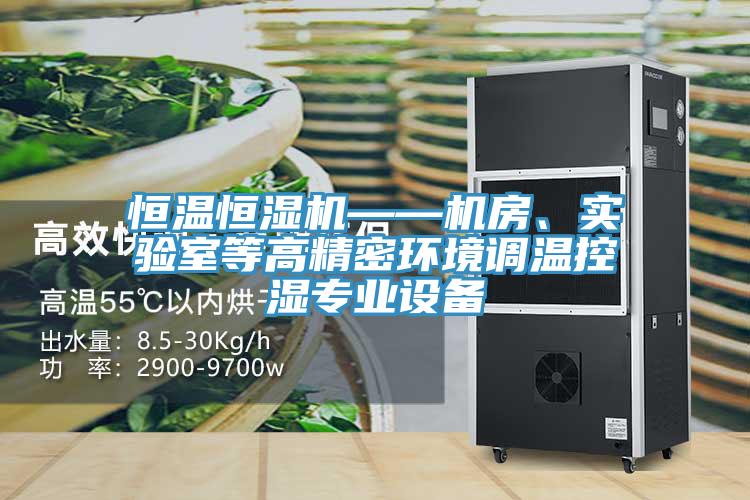 恒溫恒濕機——機房、實驗室等高精密環境調溫控濕專業設備