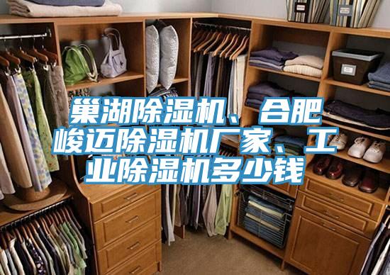 巢湖小黄片软件免费下载、合肥峻邁小黄片软件免费下载廠家、工業小黄片软件免费下载多少錢