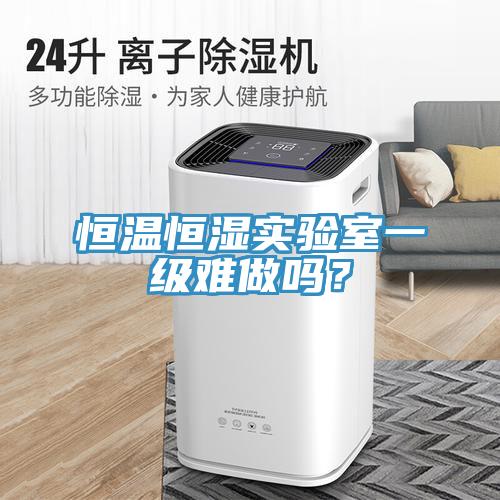 恒溫恒濕實驗室一級難做嗎？