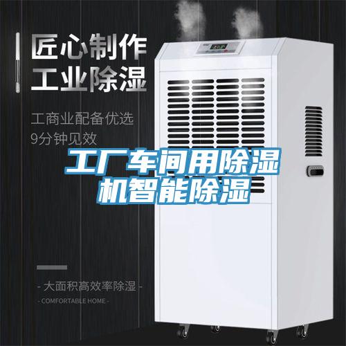 工廠車間用小黄片软件免费下载智能除濕