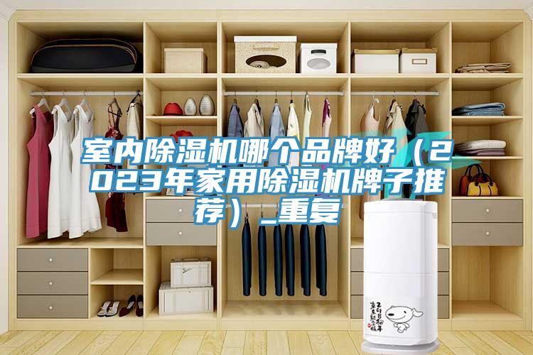室內小黄片软件免费下载哪個品牌好（2023年家用小黄片软件免费下载牌子推薦）_重複