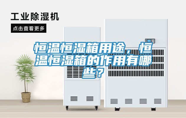 恒溫恒濕箱用途，恒溫恒濕箱的作用有哪些？