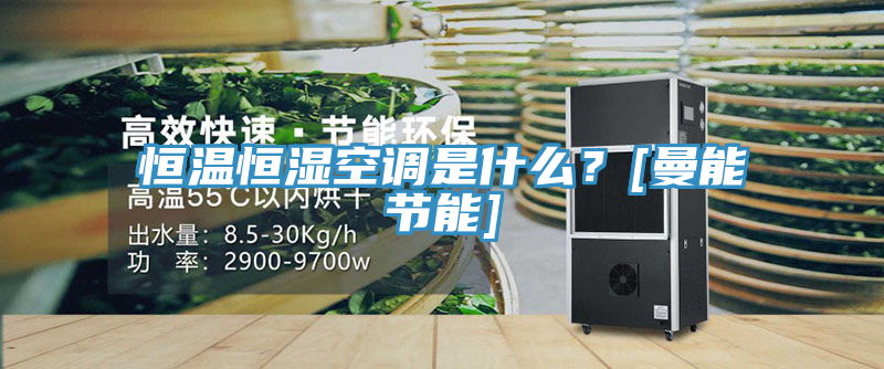 恒溫恒濕空調是什麽？[曼能節能]