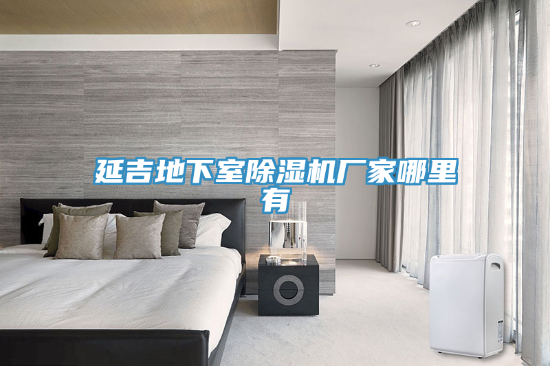 延吉地下室小黄片软件免费下载廠家哪裏有