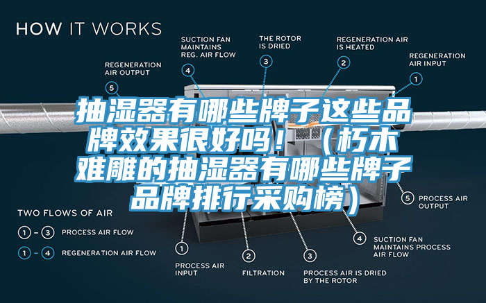 抽濕器有哪些牌子這些品牌效果很好嗎！（朽木難雕的抽濕器有哪些牌子品牌排行采購榜）