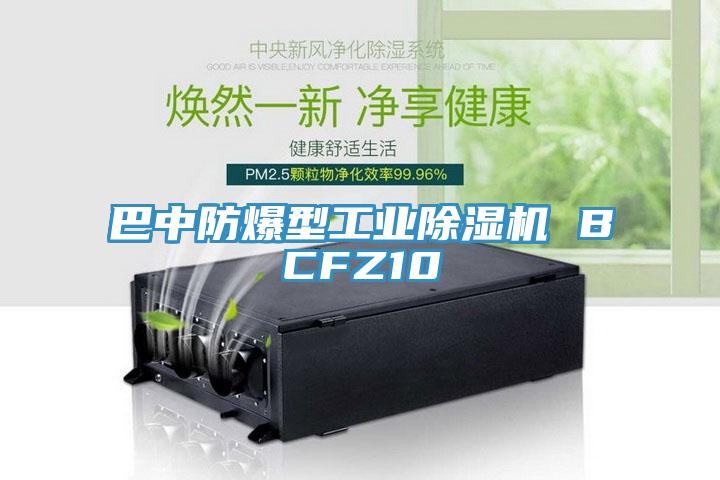 巴中防爆型工業小黄片软件免费下载 BCFZ10