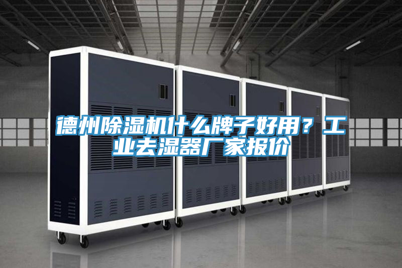德州小黄片软件免费下载什麽牌子好用？工業去濕器廠家報價