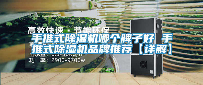 手推式小黄片软件免费下载哪個牌子好 手推式小黄片软件免费下载品牌推薦【詳解】