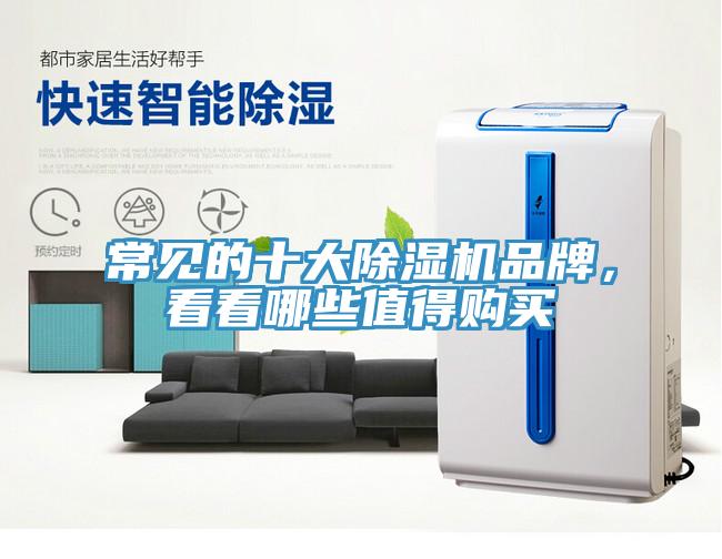 常見的十大小黄片软件免费下载品牌，看看哪些值得購買