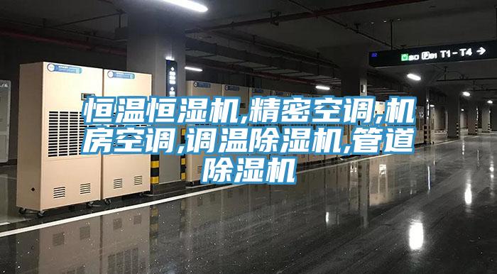 恒溫恒濕機,精密空調,機房空調,調溫小黄片软件免费下载,管道小黄片软件免费下载