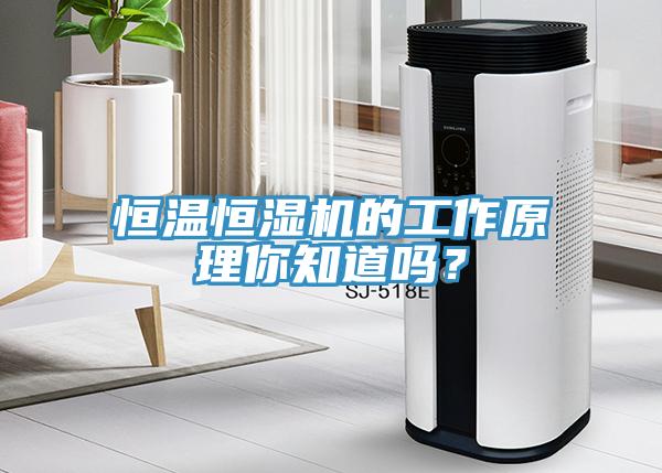 恒溫恒濕機的工作原理你知道嗎？