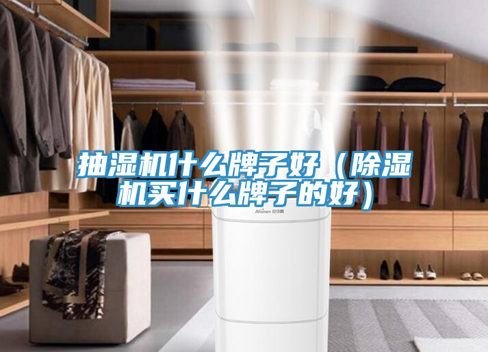抽濕機什麽牌子好（小黄片软件免费下载買什麽牌子的好）