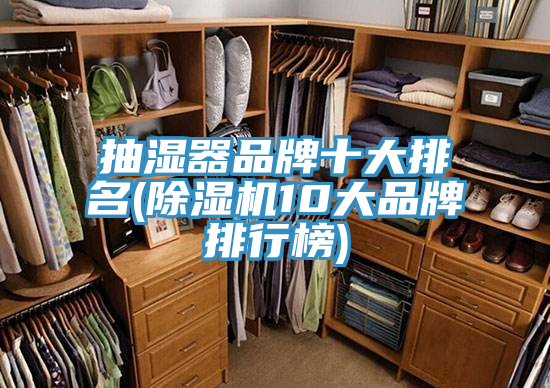 抽濕器品牌十大排名(小黄片软件免费下载10大品牌排行榜)