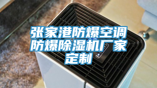 張家港防爆空調防爆小黄片软件免费下载廠家定製