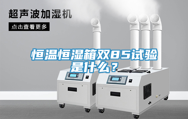 恒溫恒濕箱雙85試驗是什麽？