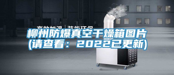 柳州防爆真空幹燥箱圖片(請查看：2022已更新)
