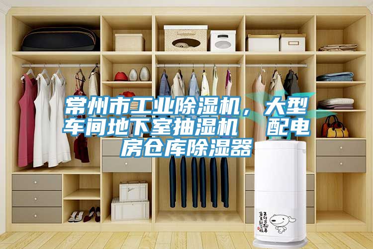 常州市工業小黄片软件免费下载，大型車間地下室抽濕機  配電房倉庫除濕器