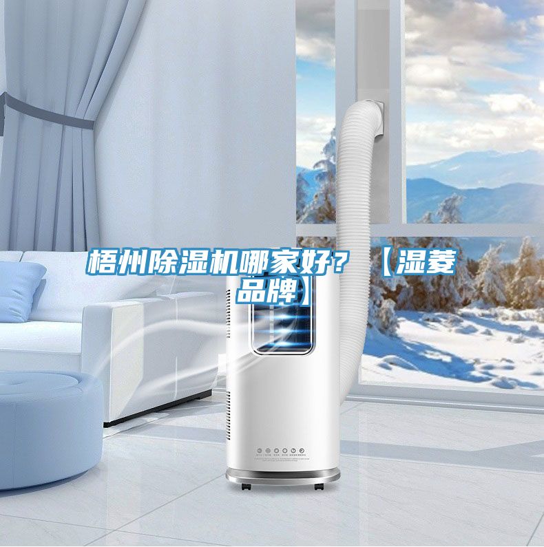 梧州小黄片软件免费下载哪家好？【濕菱品牌】