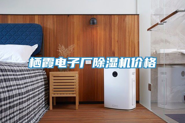 棲霞電子廠小黄片软件免费下载價格
