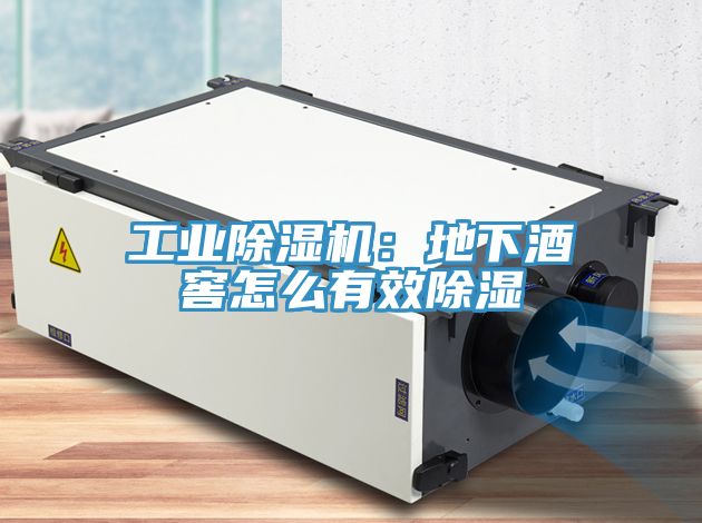 工業小黄片软件免费下载：地下酒窖怎麽有效除濕
